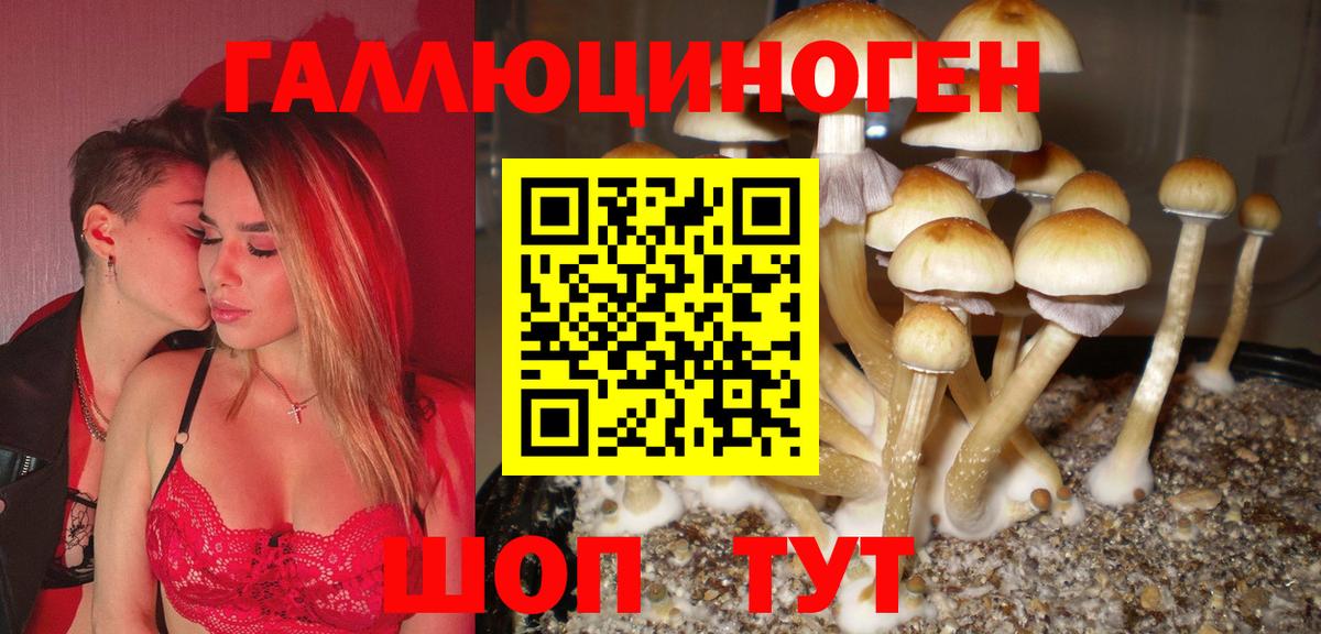 Малоярославец  Псилоцибиновые грибы GOLDEN TEACHER  Вход с VPN  Псилоцибиновые грибы мухоморы 